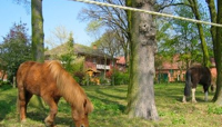 Lippstadt